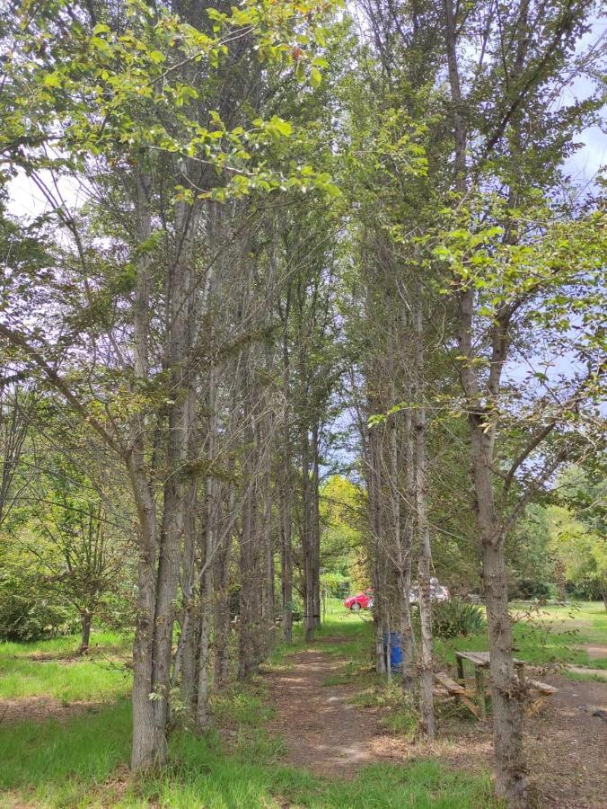 Alojamientos Remanso del Espíritu Isla de Maipo Exterior foto